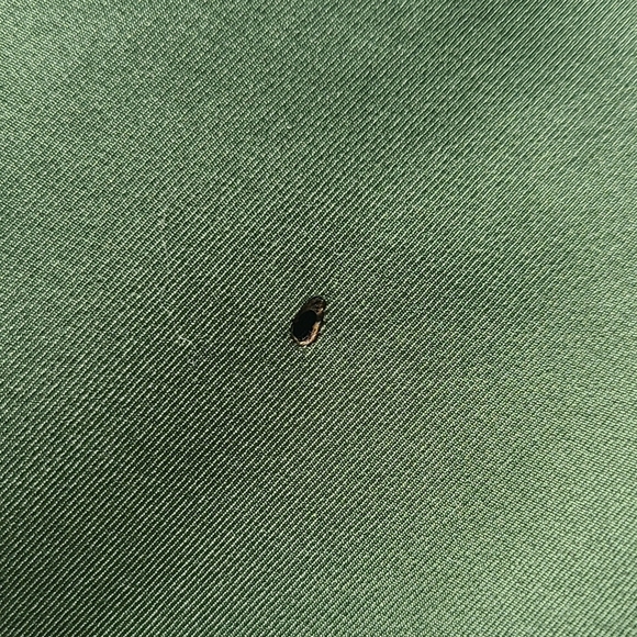 Columbia Omni-Shield Green Softshell Jacket Men’s Medium Outdoor Hiking Wind - Picture 9 of 11